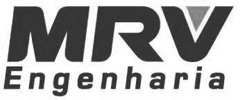 logo mrv